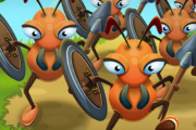 Ants Warrior