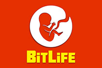 BitLife Simulator