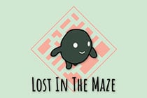 Lost in the Maze