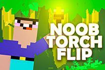 Noob Torch Flip 2D