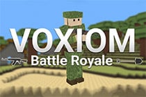 Voxiom.io