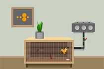 A Bonte Escape: Bird Escape