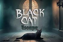 Black Cat Escape