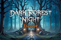 Dark Forest Night Escape