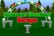 Enchanted Woodland Escape