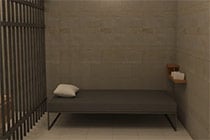 Escape from the Cage