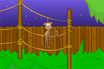 Toon Escape Zoo