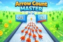 Arrow Count Master