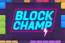 Block Champ