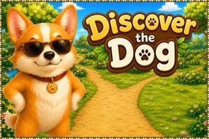 Discover the Dog
