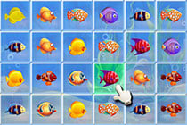 Fishing Puzzles