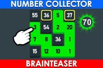 Number Collector: Brainteaser