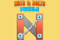 Nuts & Bolts Puzzle