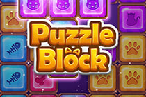 Puzzle Block