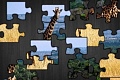 Puzzle Mania