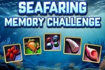 Seafaring Memory Challenge