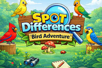 Spot Differences Bird Adventure