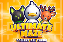 Ultimate Maze 