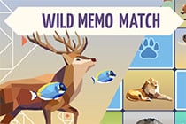 Wild Memo Match