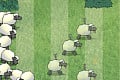 Sheep Shooting