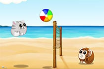 Beachball Online