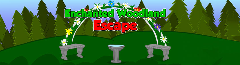 Enchanted Woodland Escape